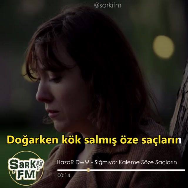 Sigmiyor Kaleme Soze Saclarin Indir Mytimeplus Net