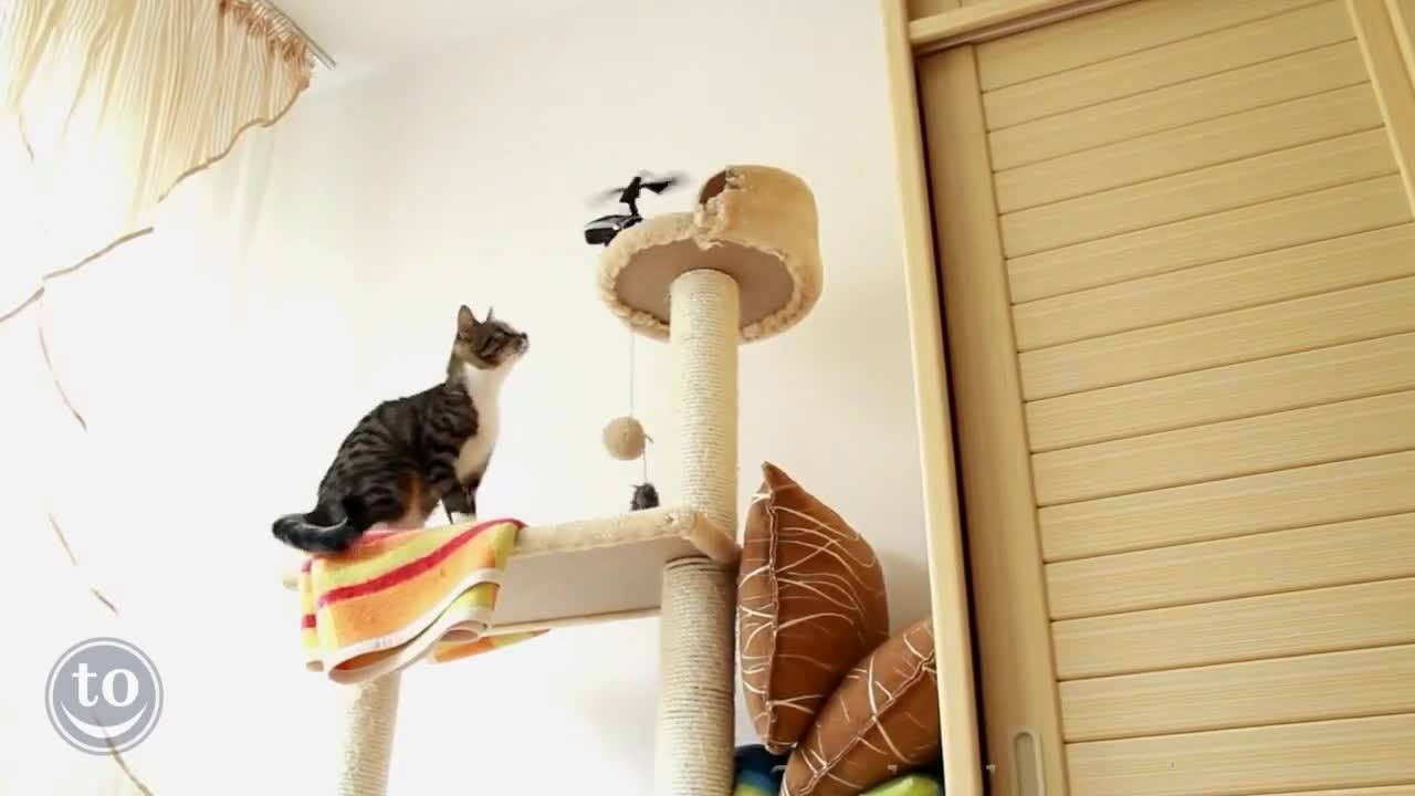 Chat=Avenue.Com