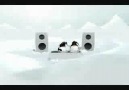 Sammy Peralta - Shake it (Dj Rooster & Jesse Garcia Remix)