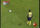 Kara Şimşek Appiah'tan Shalke 04 Muhteşem Gol:)