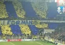 Fenerbahçe Fan  Kareografi Show