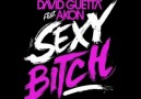 David Guetta ft Akon & Lil Jon - Sexy Bitch (Hotfingaz Mix)