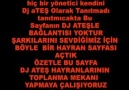 FAMILIA TOKAT - Papatya