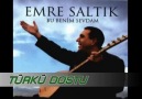 EMRE SALTIK-MUNZUR DAĞINDA BİR KUŞ