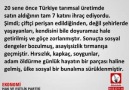Hak ve Eşitlik Partisi - Ekonomik İlkeler