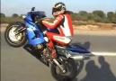 Tek Teker Arif ve Kavasaki ZX10