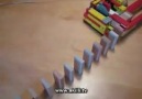 Domino Taşı Dizme Makinası xD