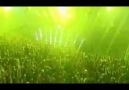 DJ Tiesto - Trance Energy
