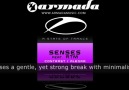 Senses feat. Rtm - Contrast (Original Mix) (M.Demirel) [HQ]