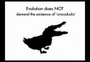 Evrim Teorisi - Yanılgılar ve Gerçekler [HQ]