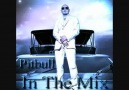 Pitbull Tum Parcalarinin Mix Hali Special Version