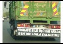 işte bizim türk halkımız .........:D:D