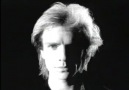Sting & The Police - Every Breath You Take