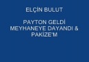 Elçin BULUT - Payton Geldi Meyhaneye Dayandı&Pakize'm