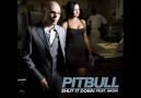 Pitbull - Shut It Down ft. Akon [HQ]