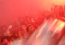Fenerbahçe Köpeğine !