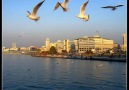 İzmir İn Kavakları