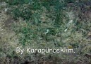 Adnan Küçükerdem - Byy Karapürçeklim - By_Charisma [HQ]