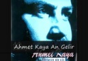 Ahmet Kaya An Gelir