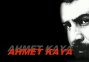 Ahmet Kaya -Yaşamadın Sen