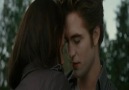 Alexandre Desplat - New Moon (The Meadow) [HQ]