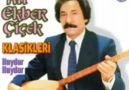 Ali Ekber Cicek - Deli Gönül Hangi Dala Konarsin