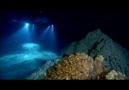 Aliens Of The Deep  Sualtı Yaratıkları ░ Bölüm 4 / 5 ░