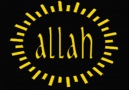 ALLAH DEMEYİNCE DAL SALLANIRMI(emrullahdicle) [HQ]