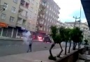 Amed''te Çocuk Tek Başına Bir Akrep''e Karşı!