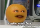 Annoying Orange 5 - Diğer Sinir Portakallar [HQ]