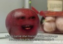 Annoying Orange ''Hey Elma'' (Altyazılı) [HQ]