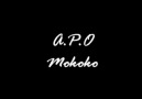 A.P.O - Mokoko