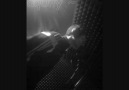 Aqony - Facebook [HQ]