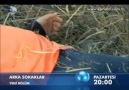 Arka Sokaklar 215.Bölüm Fragman ( 200 Beğen)