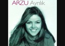 ARZU ŞAHİN-AMMAN