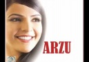 Arzu Şahin - Erzincanın Güzelleri (POTBORİ) [HQ]