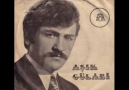 Aşık Gülabi - İnsan Kalbini