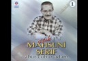 Aşık Mahzuni Şerif - Deneye Deneye