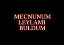 Asik Veysel - Mecnunum Leylami Gordum