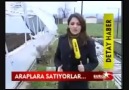 atanin mirasini babasinin mirasi gibi satip yiyor serefsizler