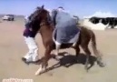 Atın İsyanı xD