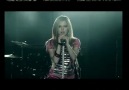 Avril 3 Abbey Dawn New !!!