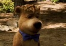 Ayı Yogi - Yogi Bear 2011 [Türkçe FRAGMAN]