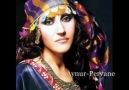 Aynur Dogan___Pervane