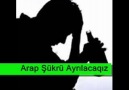 AYRiLaCaGiZ ~  ARaP $üKRü