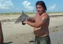 Baby Shark Attack [HD]