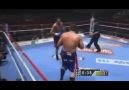 Badr Harı vs Peter Aerts K-1 WGP 2008