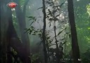 BBC  Nil - Kaynağın Peşinde ░ Bölüm 4 / 4 ░