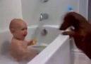Bebek ile Köpegin Banyo Keyfi xD