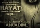 Bedirhan Gökçe --- Anladım C. Yücel [HQ]